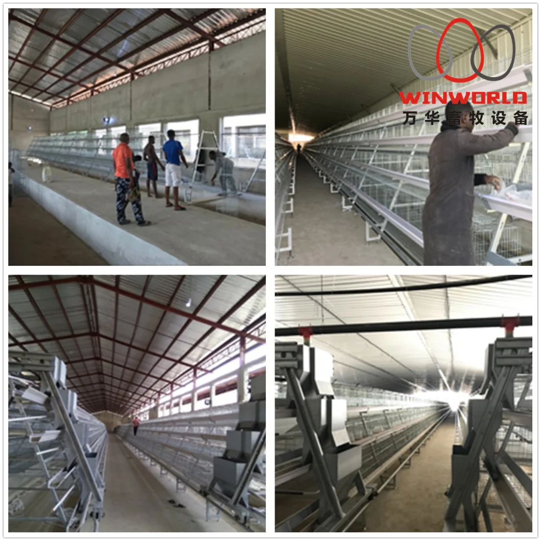 New Design a Type Tanzania Layer Poultry Farm Chicken Cage for Sale
