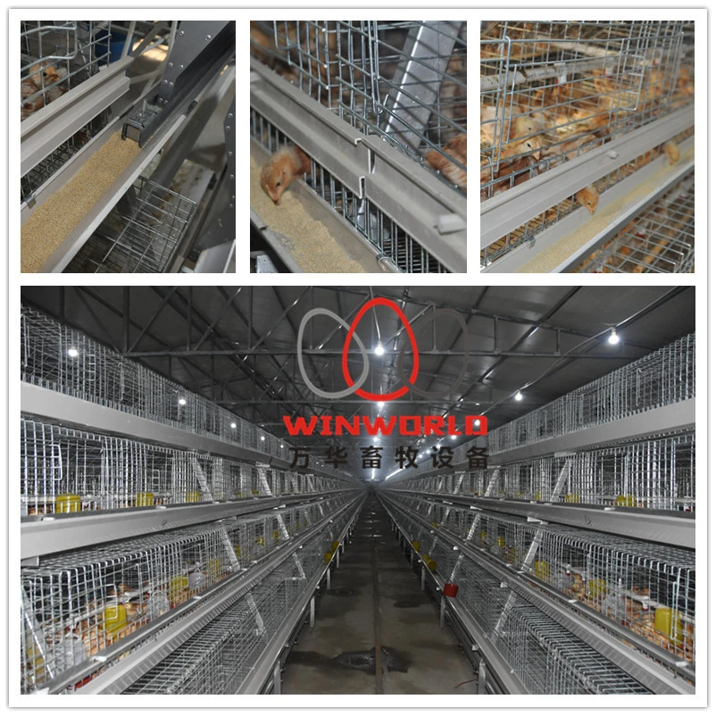 Wholesale Prices Pullet Chicken Cage Chick Chicken Cage