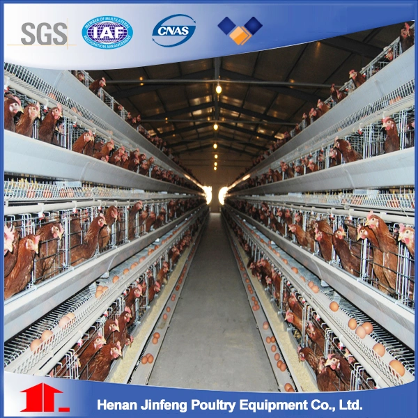 Hot Galvanized China Wholesale Custom Chicken Farm Poultry Cage for Sale