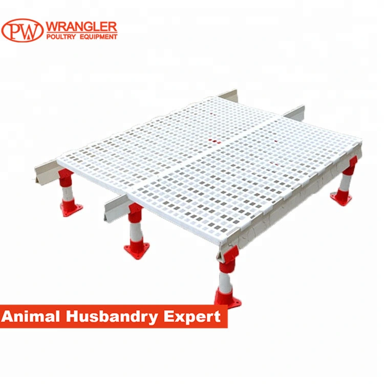 High Quality Chicken Floors, Plastic Slatted Flooring for Chickens Poultry Equipment Farming