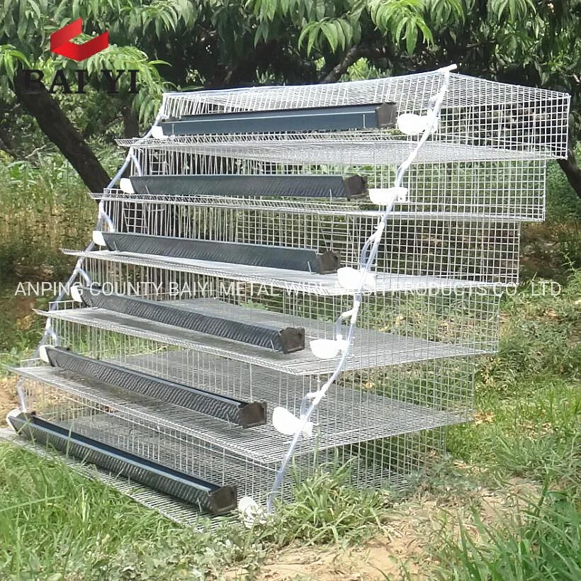 Commercial Layer Quail Cages for Sale in India, South Africa