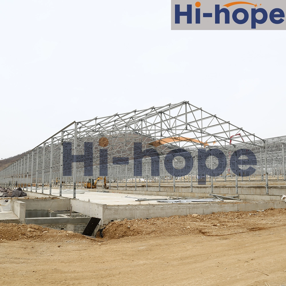 Prefab Steel Construction Structure for Poultry Chicken Breeding Houses