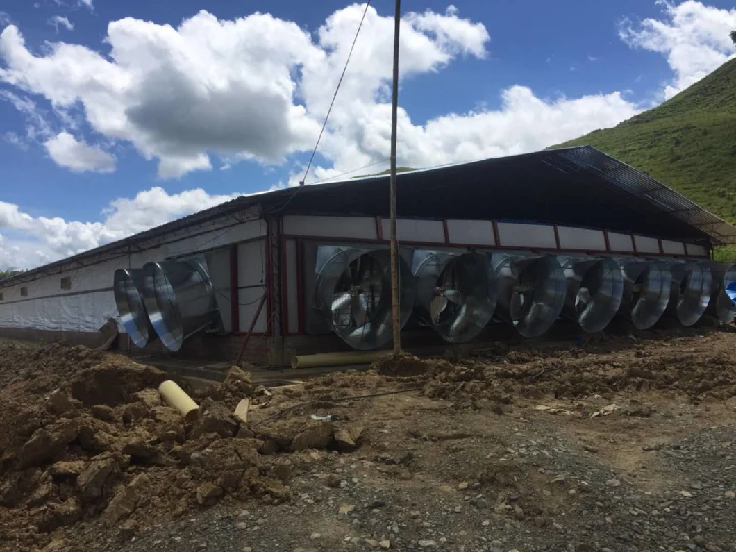 Automatic Poultry Farm Equipment for Broiler Chicken/Breeder Chicken/Layer Chicken