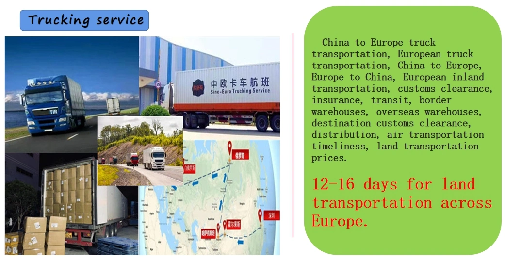 Freight Forwarder LCL Sea Shipping Agent From China to Ireland Northern Ireland