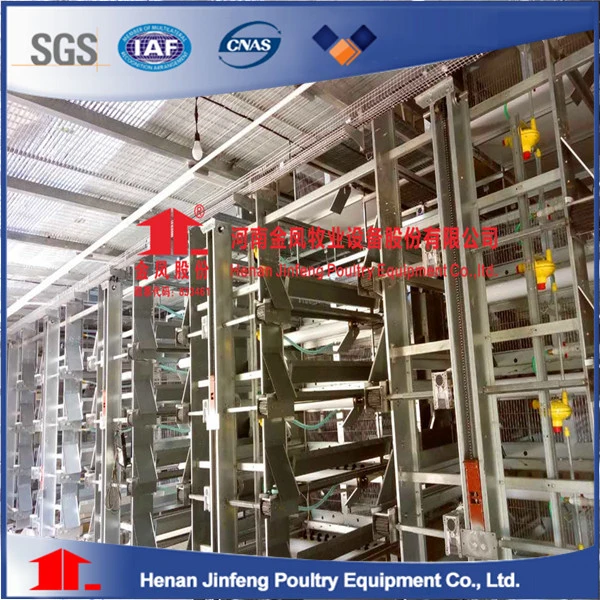 Best Strong Automatic a Type Automatic Chicken Cage for Sale