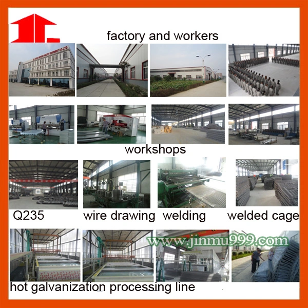 (jfa120) Poultry Cages for Chicken Farm Coop
