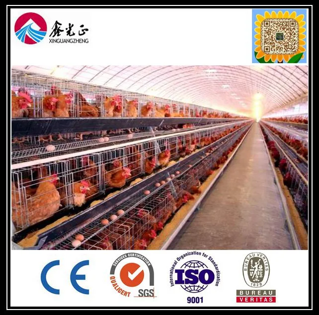 Chinese New Material High Quality Earth Quake Resistance Chicken House/Duck House/Poultry House