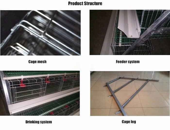 Automatic Design Battery Layer Chicken Coop Quail Layer Cage