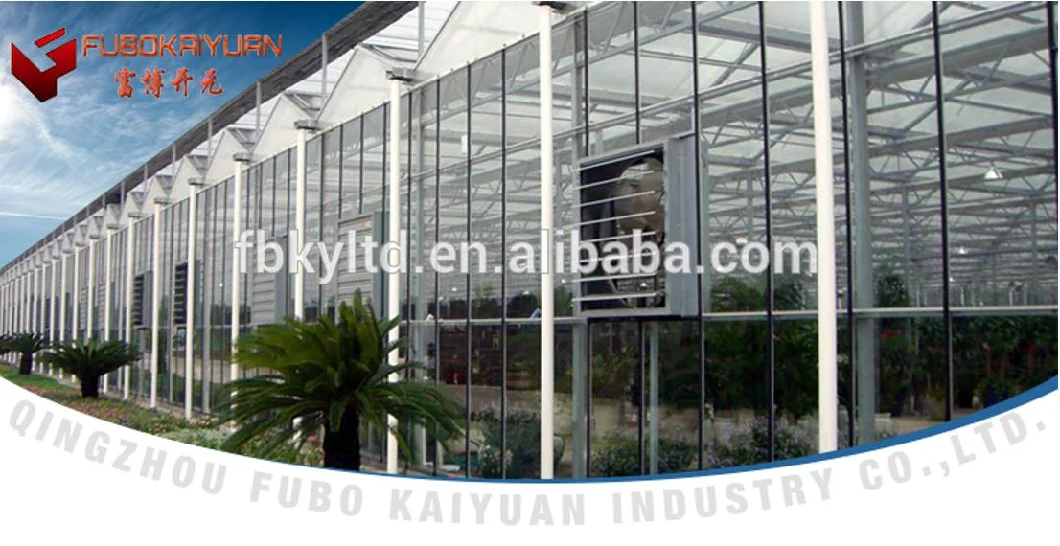 Poultry Farm Chicken Equipment/Chicken House System/Chicken System Feeding Line with Good Quality Used in Chicken House