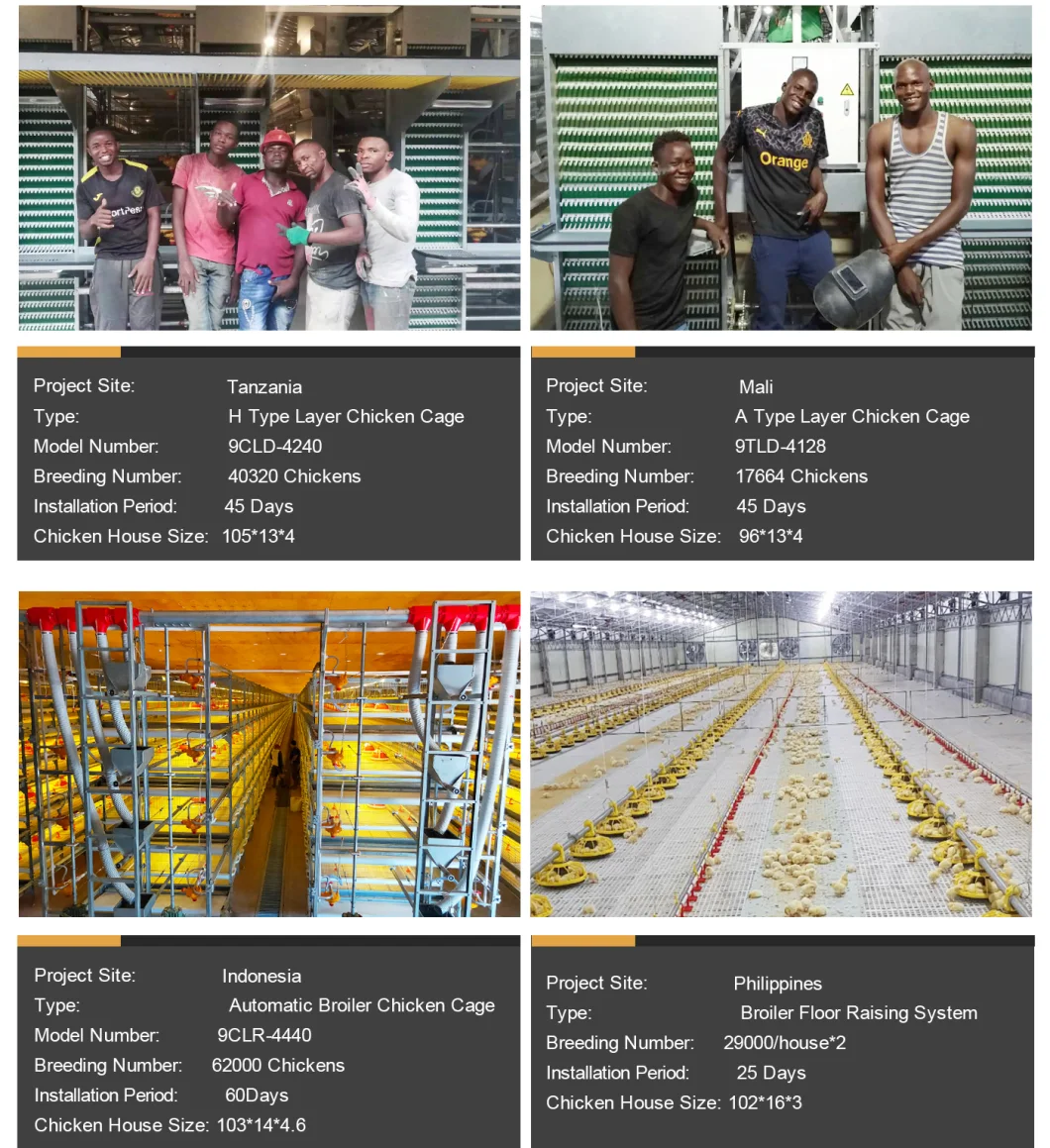 Best Sale Egg Poultry Farm Chicken Cage Equipment Layer Cages in south Africa