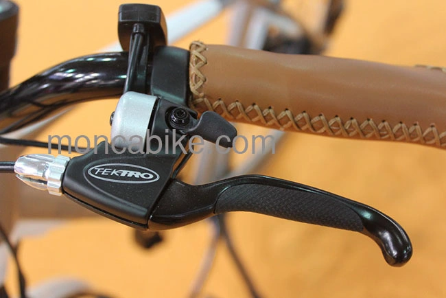 20inch Folding Bike with Alloy Frame Folding Bike