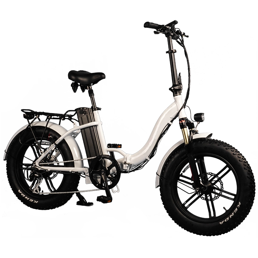 Folding Electric Bike/Electric Bicycle/Mini Folding E-Bike