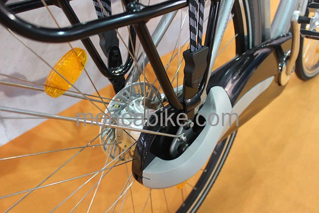20inch Folding Bike with Alloy Frame Folding Bike