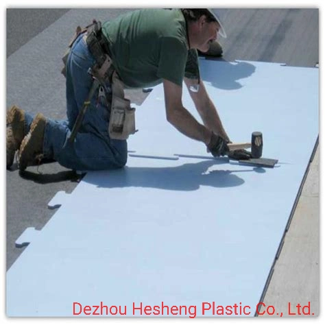UHMWPE Synthetic Ice Skating Board/Wear-Resistant Ice Sheet Skating Rink Flooring