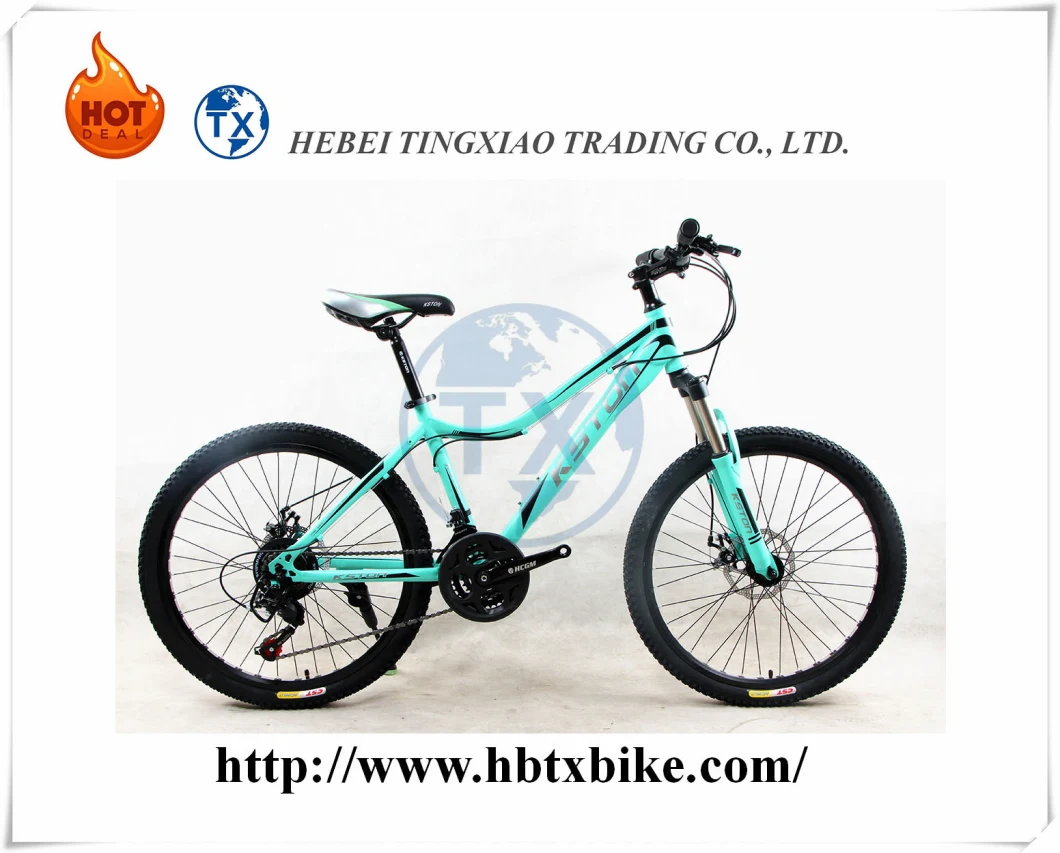 Mountain Bike, Bicycle Electric Bicycle, Road Bike, City Bike, Folding Bike