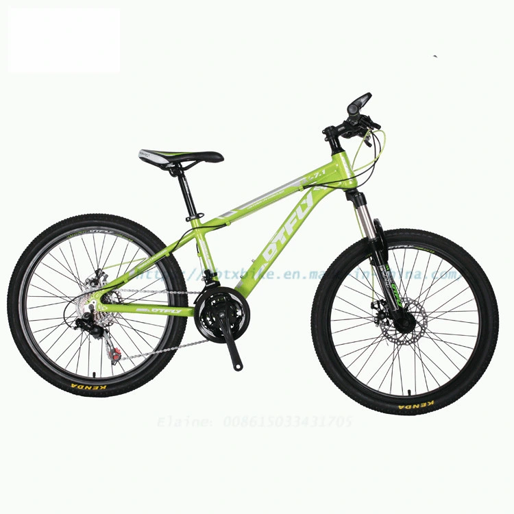 Cheaper Steel Mountain Bike/Factory Price Downhill Mountain Bike for Men/Mountain Bike MTB Bicycle