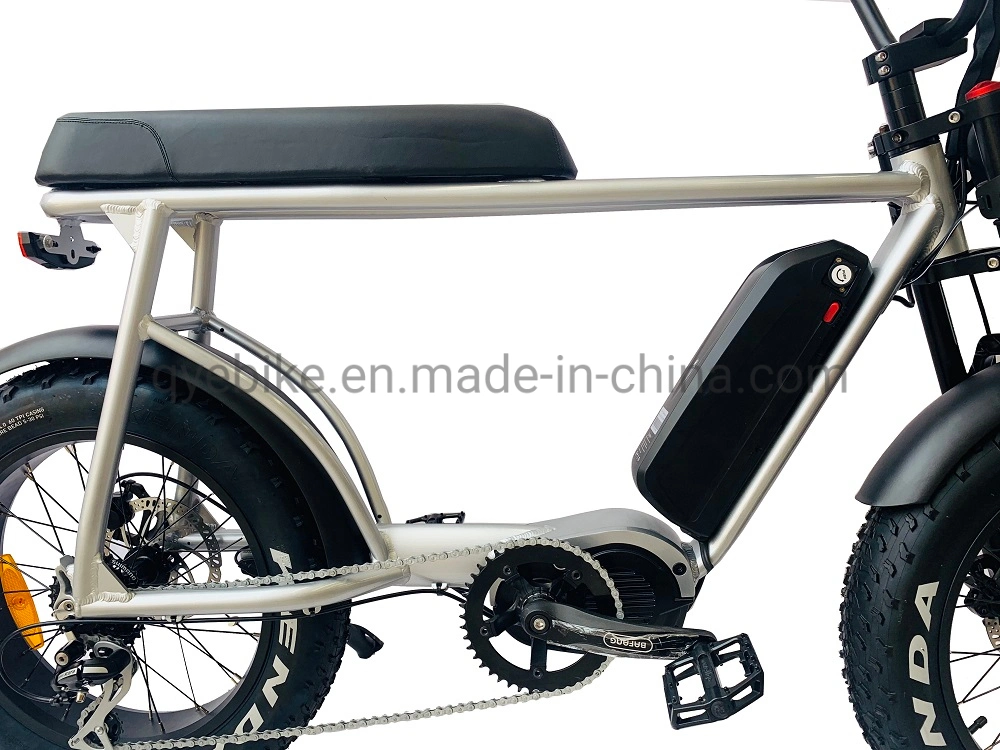 Queene 48V Downhill Full Suspension Electric Bicycle/E Bike with Bafang MID Drive 750W/1000W