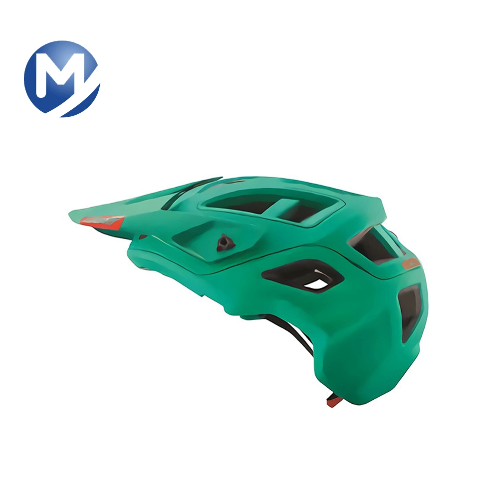 High Quality Customized Plastic Bike Helmet Injection Tool