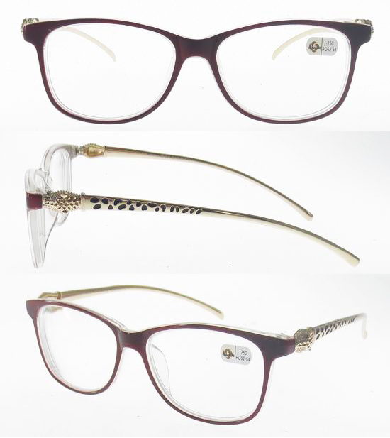 Reading Glasses/Plastic Reading Glasses/Fashion Reading Glasses (RP487019)
