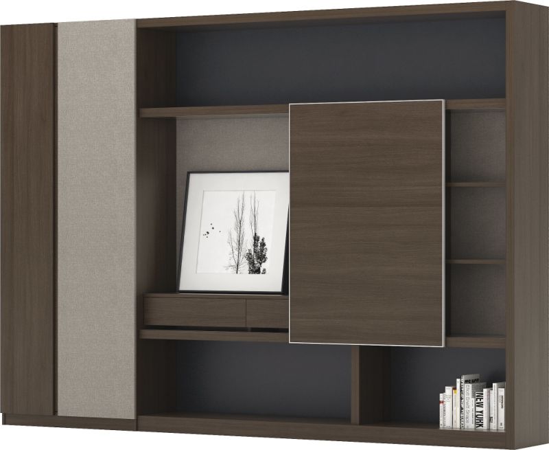 Modern Traditional Book Shelf Book Cabinet for Office (BL-FC045)