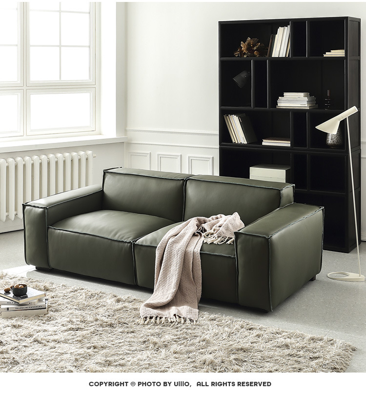 Scandinavian Style Simple Designer Living Room Leather Sofa Set