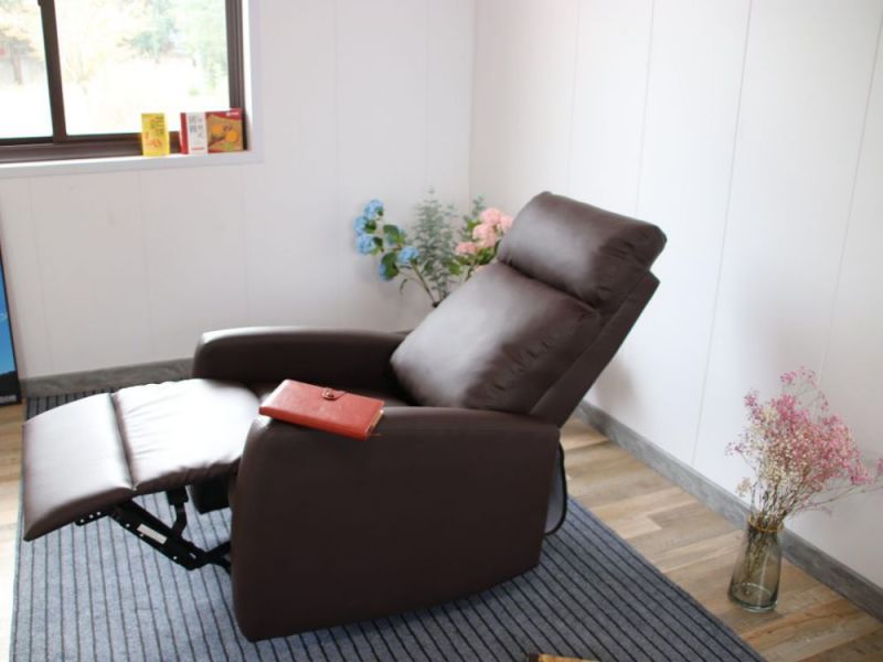 Modern Stylish Living Room Furniture Manual Recliner PU Sofa