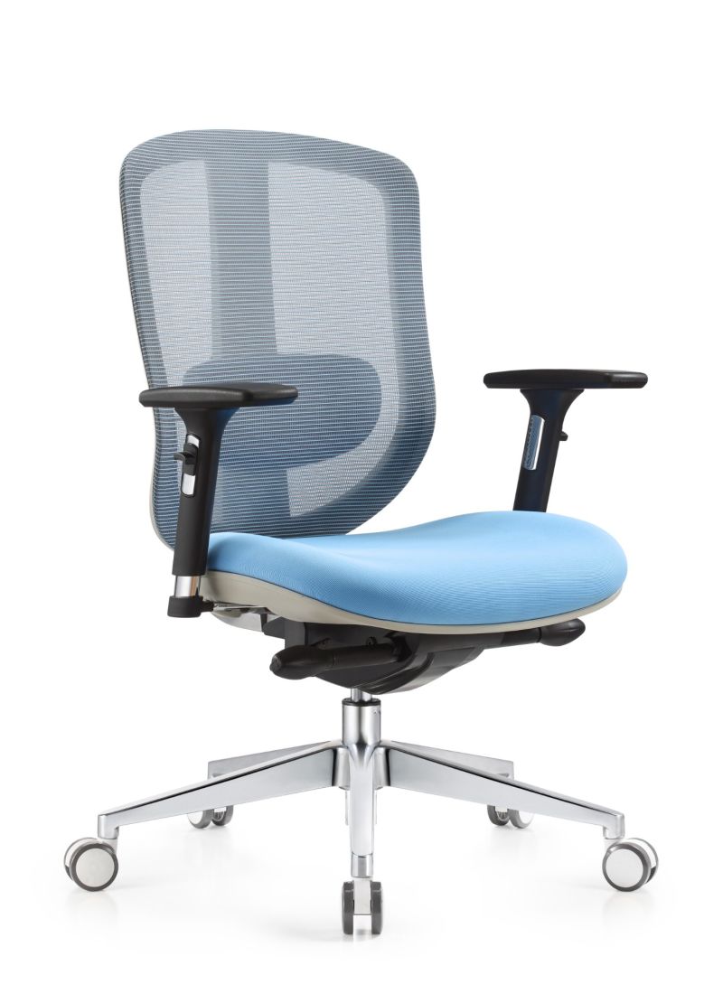 Office Furniture Ergonomic Mesh Office Chair with Sliding Lumbar Support
