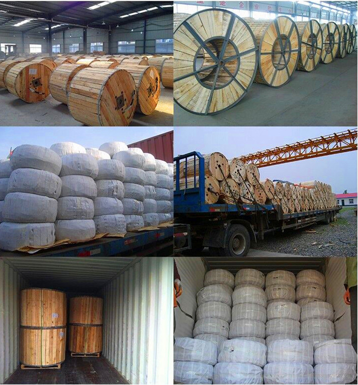 Conductor Factory Aluminum Conductor Steel Reinforced/ACSR Conductor/Bare Conductors