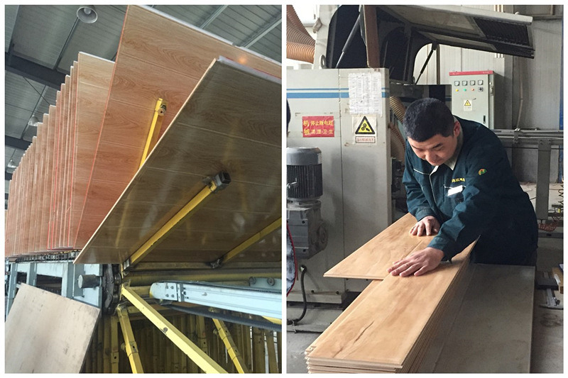 AC4 HDF Production Line Laminate Flooring Hard Wood 12mm