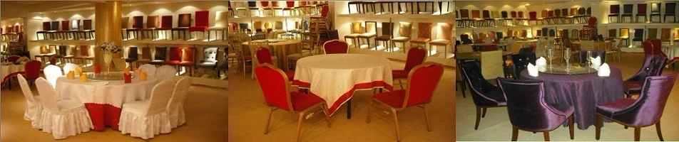 2016 Chinese Hotel Imitated Wood Chair (CY-656)