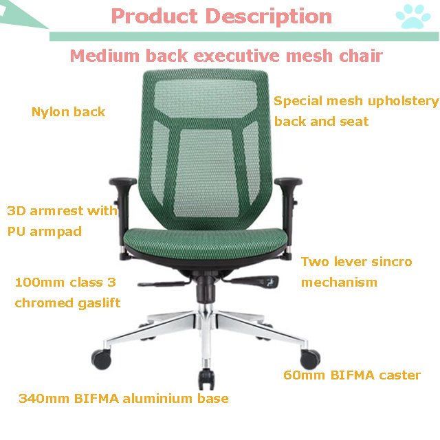Office Furniture Medium Back Swivel Full Mesh Ergonomic Office Chair