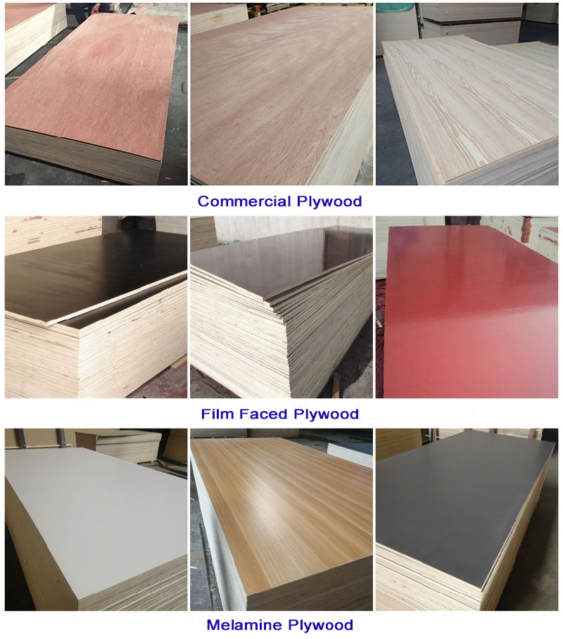 Hardwood Core Two Sides Laminated Melamine Plywood for Furniture