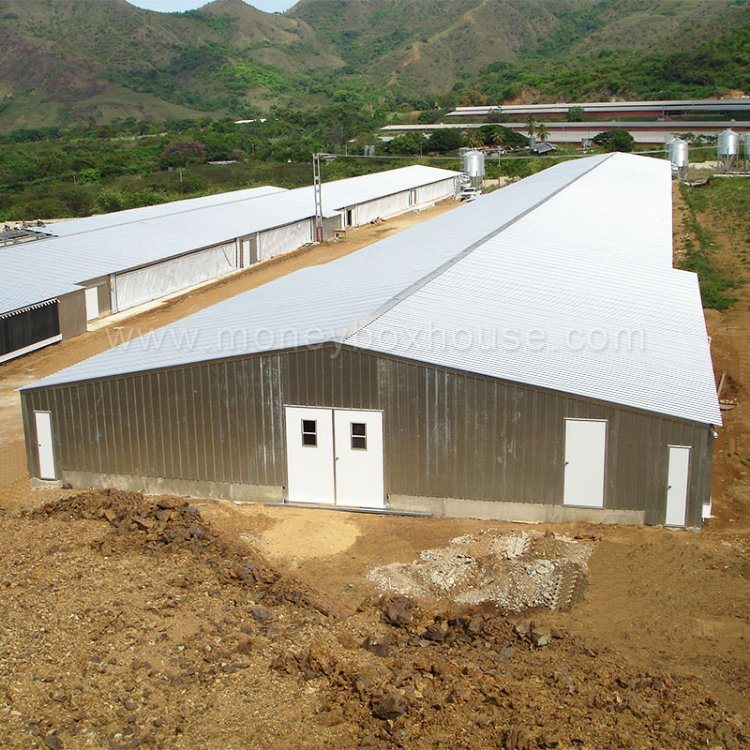Industrial Steel Structure Commercial Modular Prefabricated Poultry Farming Chicken House