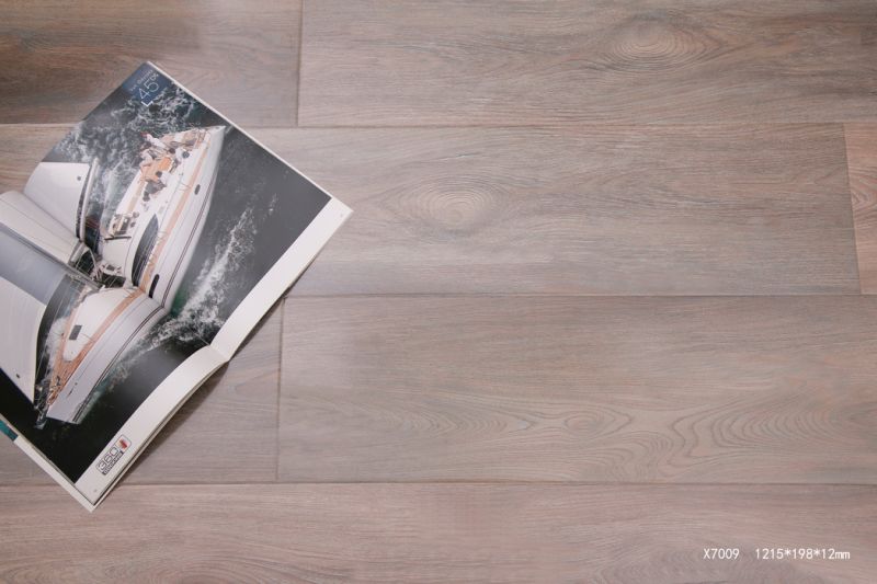 Wood Floor Laminate Floor Laminate Flooring Eir/Embossed/High Glossy 8mm/10mm/12mm