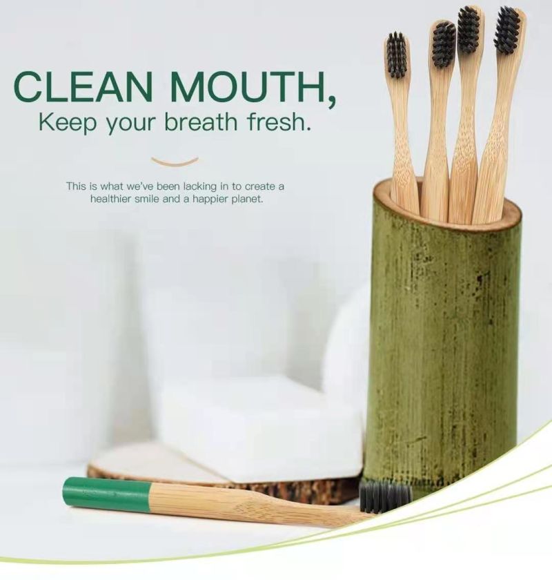 Wholesale Natural Bamboo Charcoal Adult Bamboo Toothbrush
