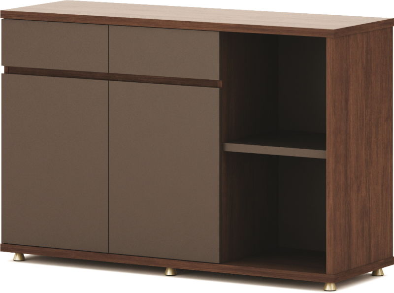 Modern Office Kitchen Cabinet Melamine Tea Cabinet (BL-FC212)