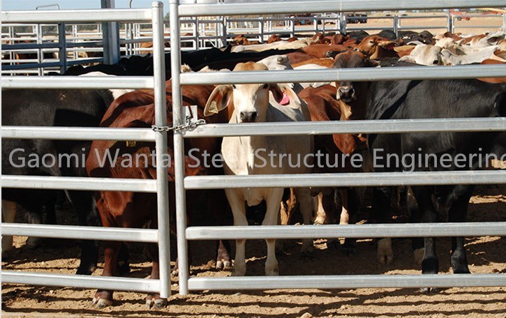 Factory Direct Cheap Cattle Panels for Sale / Livestock Panels / Corral Panels