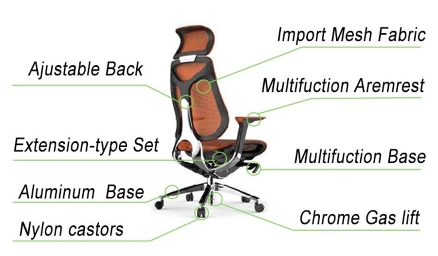 Competitive Ergonomic Executive Chair Office Chair Specification of Swivel Chair