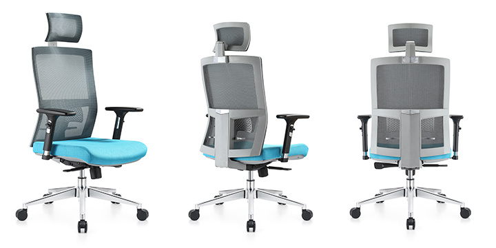 Computer Executive Desk Office Chair with Adjustable Back and Seat