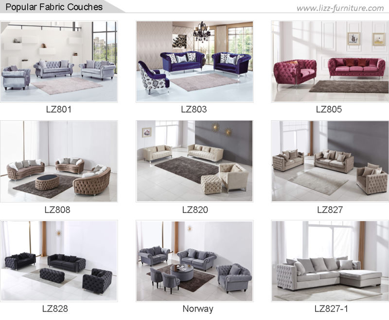 Lizz Couch Modern Furniture European Style Living Room Sofa Furniture Set