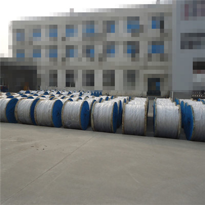 Aluminum Conductor Galvanized Steel Wire Reinforced ACSR Bare Conductor