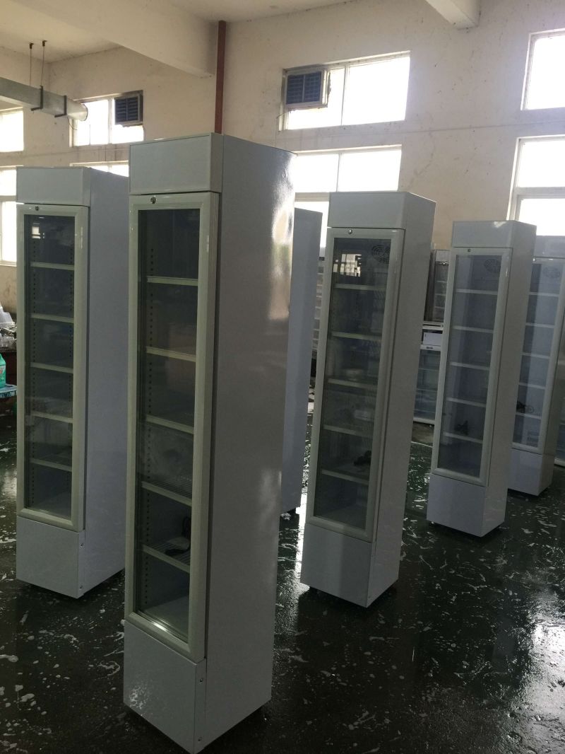 Refrigerated Showcase Display Cooler Upright Freezer Showcase for Supermarket