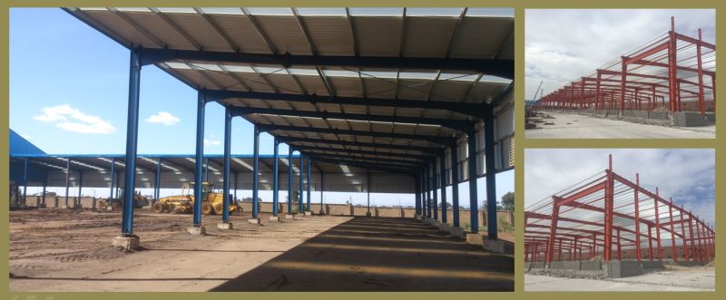 South Africa Pre-Engineered Steel Buildings for Commercial and Industrial Application