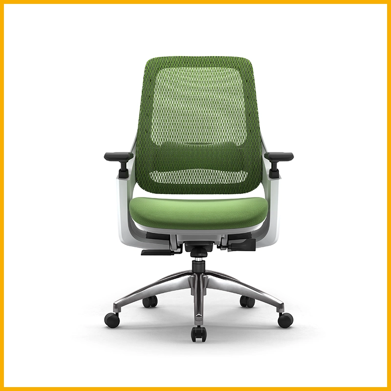 Executive Office Furniture Chairs Office Chair in Office