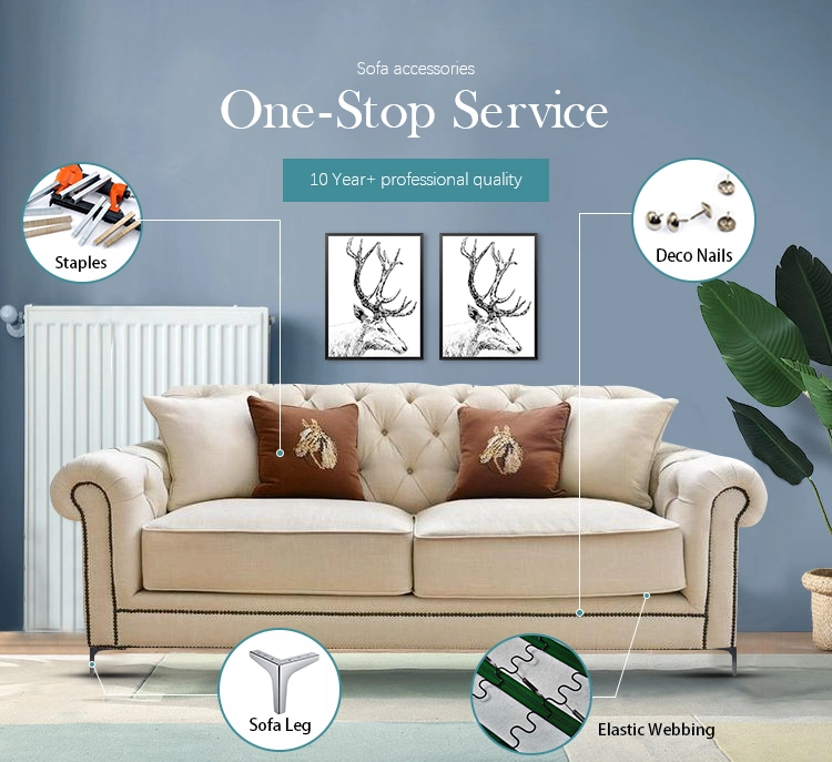 Popular Customized Design Round Eucalyptus Wooden Chair Sofa Feet