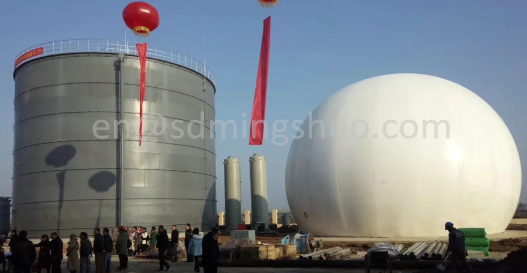 Membrane Biogas Storage Gas Dome Holder for Anaerobic Digester