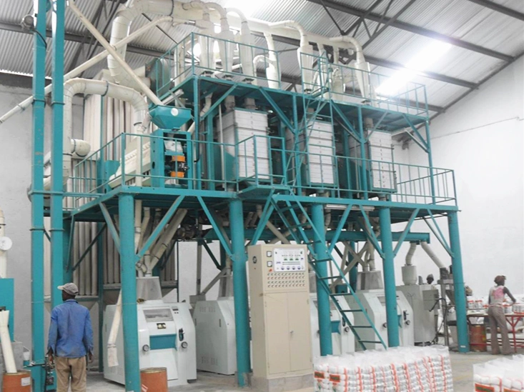 50 Tpd Compact Maize Flour Milling Plant, Maize Milling Plant