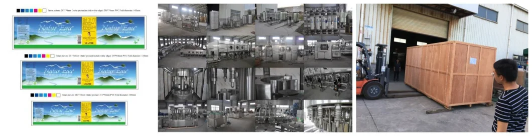 8000L/H Water Purification Plant Cost