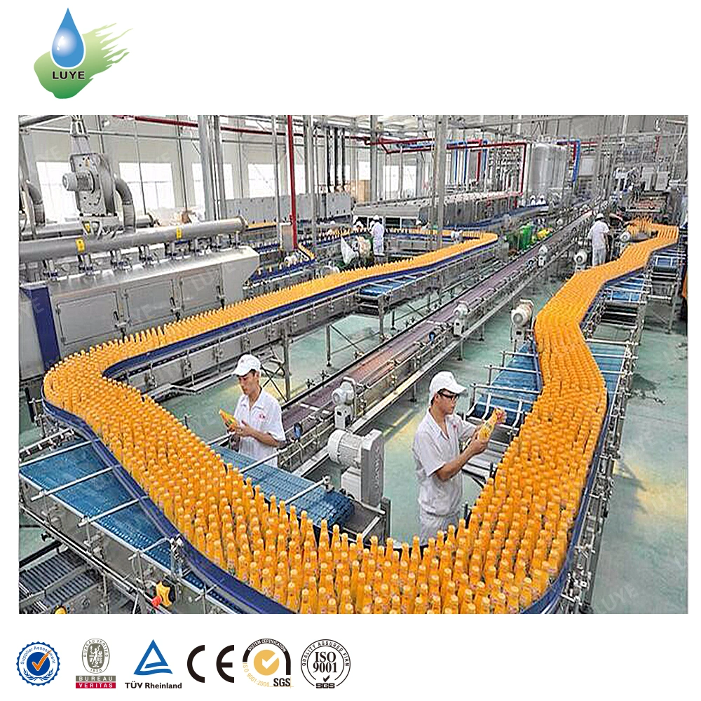 Juice Processing Plant for Sale/Juice Packaging/Juice Plant Manufacturer/Mango Processing Plant Cost
