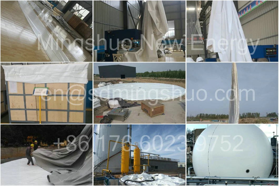 Membrane Biogas Storage Gas Dome Holder Balloon for Biogas Plant